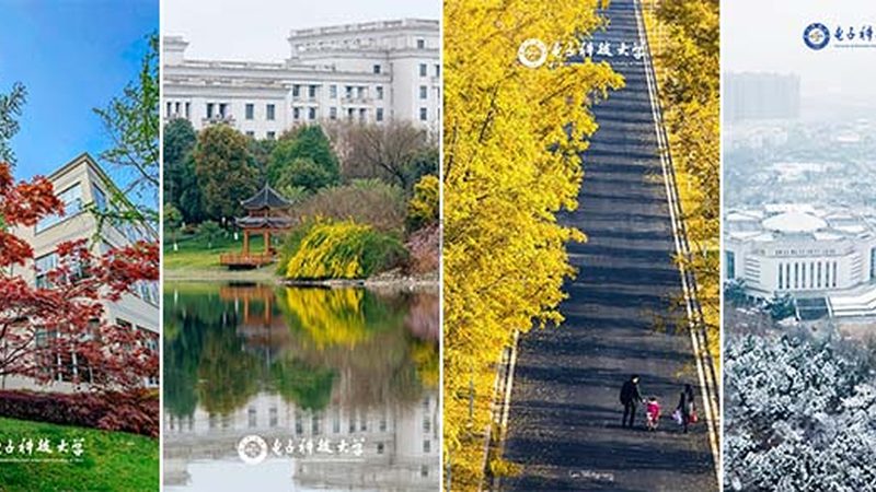 电子设备柔性板定制：揭秘其关键技术与选型要点